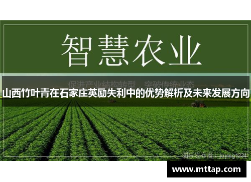 山西竹叶青在石家庄英励失利中的优势解析及未来发展方向