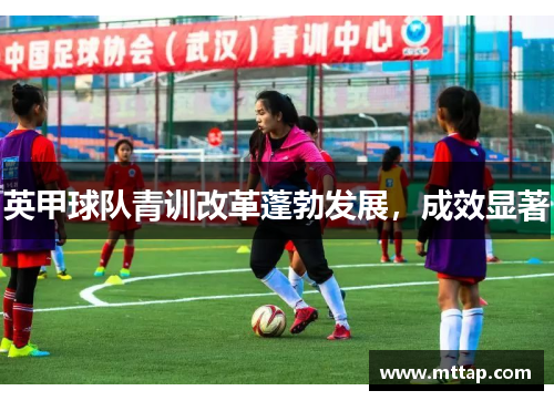 英甲球队青训改革蓬勃发展，成效显著